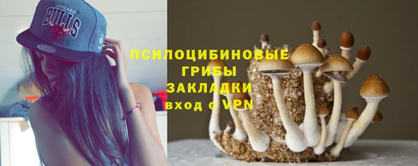 соль ск Алзамай