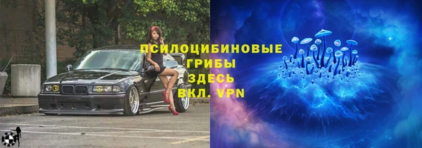 соль ск Алексин
